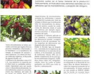 nota-microelementos-en-fruticultura